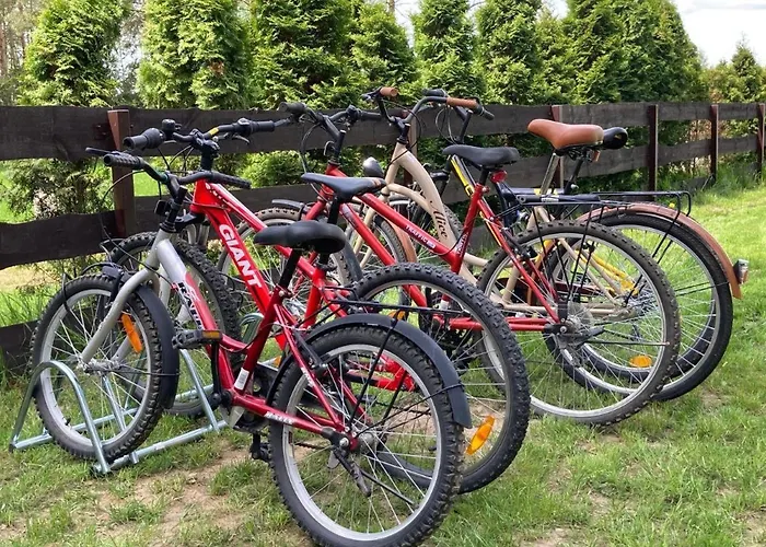 Cisy Resort-Idealny Dla Gosci Ze Zwierzetami,Ogrodzony Teren Na Wylacznosc,150 M Od Jeziora