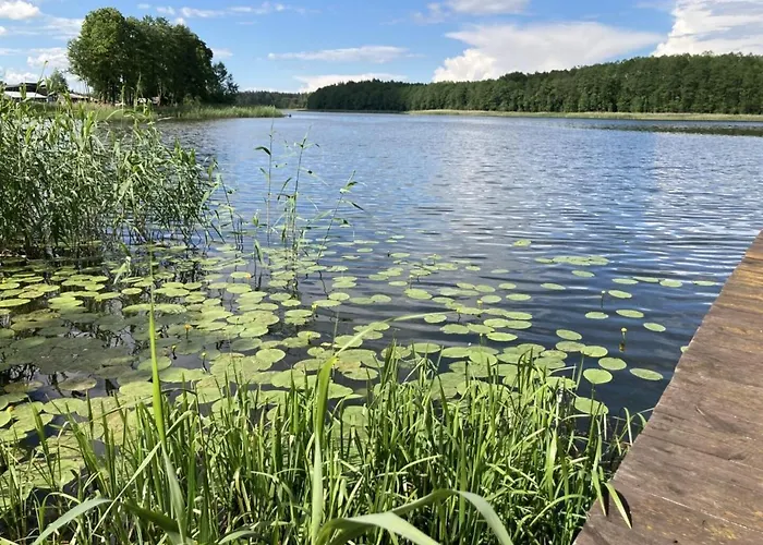 Cisy Resort-Idealny Dla Gosci Ze Zwierzetami,Ogrodzony Teren Na Wylacznosc,150 M Od Jeziora