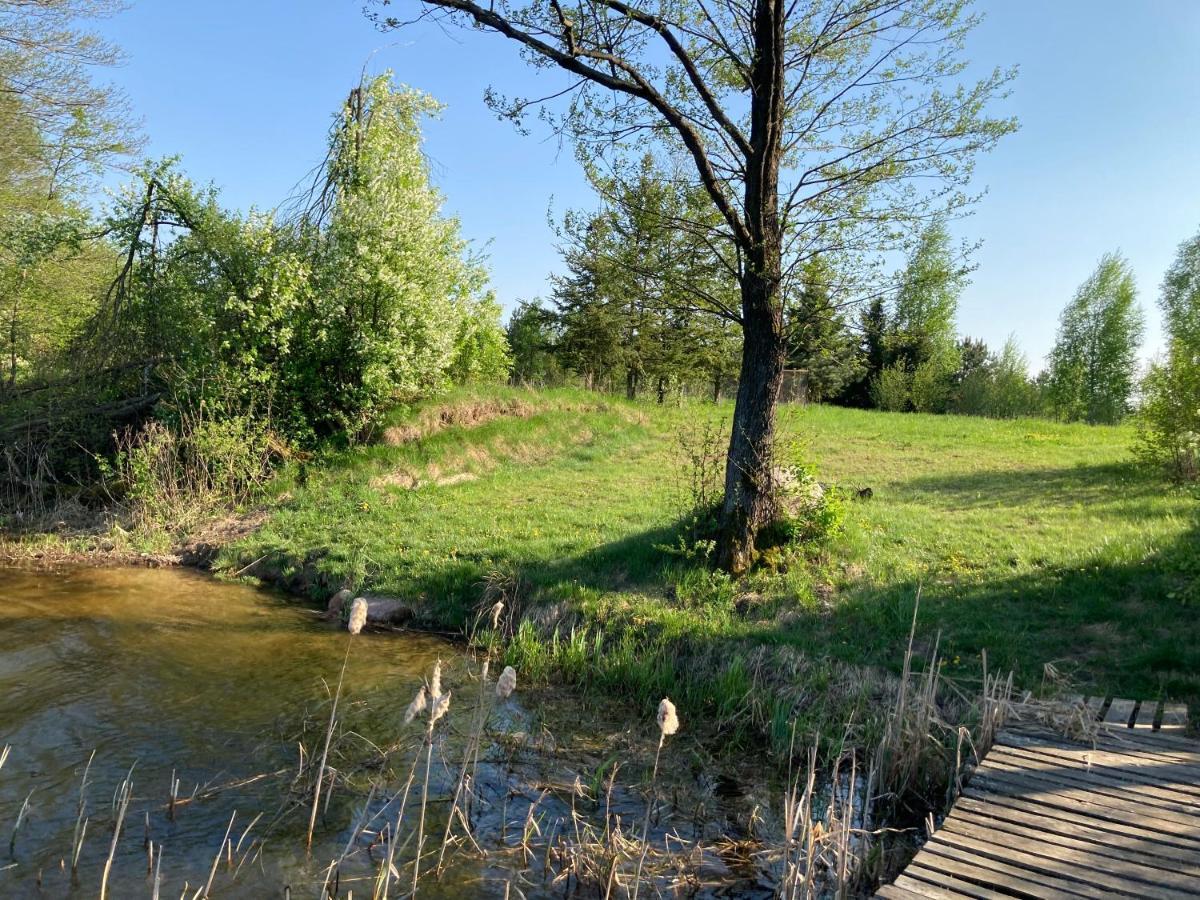 Cisy Resort-idealny Dla Gosci Ze Zwierzetami,ogrodzony Teren Na Wylacznosc,150 M Od Jeziora *
